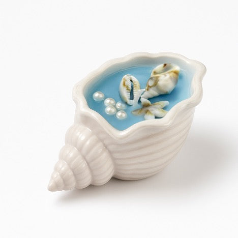 Concrete Seashell